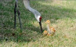 Lee’s Three Word Wednesday –&nbsp;2/17/16