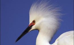 Lee’s Six Word Saturday –&nbsp;4/15/17