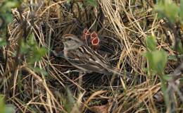 Out of the Mouth of&nbsp;Babes…