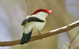 Sunday Inspiration – Give&nbsp;Thanks