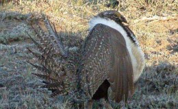 Lee’s Seven Word Sunday –&nbsp;2/19/17