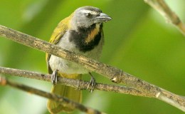 Another Update From I.O.C. – Version&nbsp;6.4