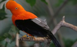 Lee’s Five Word Friday –&nbsp;3/10/17