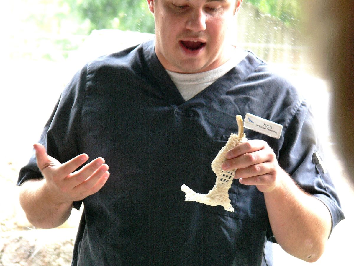 National Aviary Meet a patient - Jamie-Vet Tech with leg cast