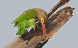 Lee’s Seven Word Sunday –&nbsp;2/7/16