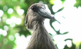 Lee’s One Word Monday –&nbsp;6/19/17