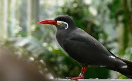 Lee’s One Word Monday –&nbsp;5/23/16