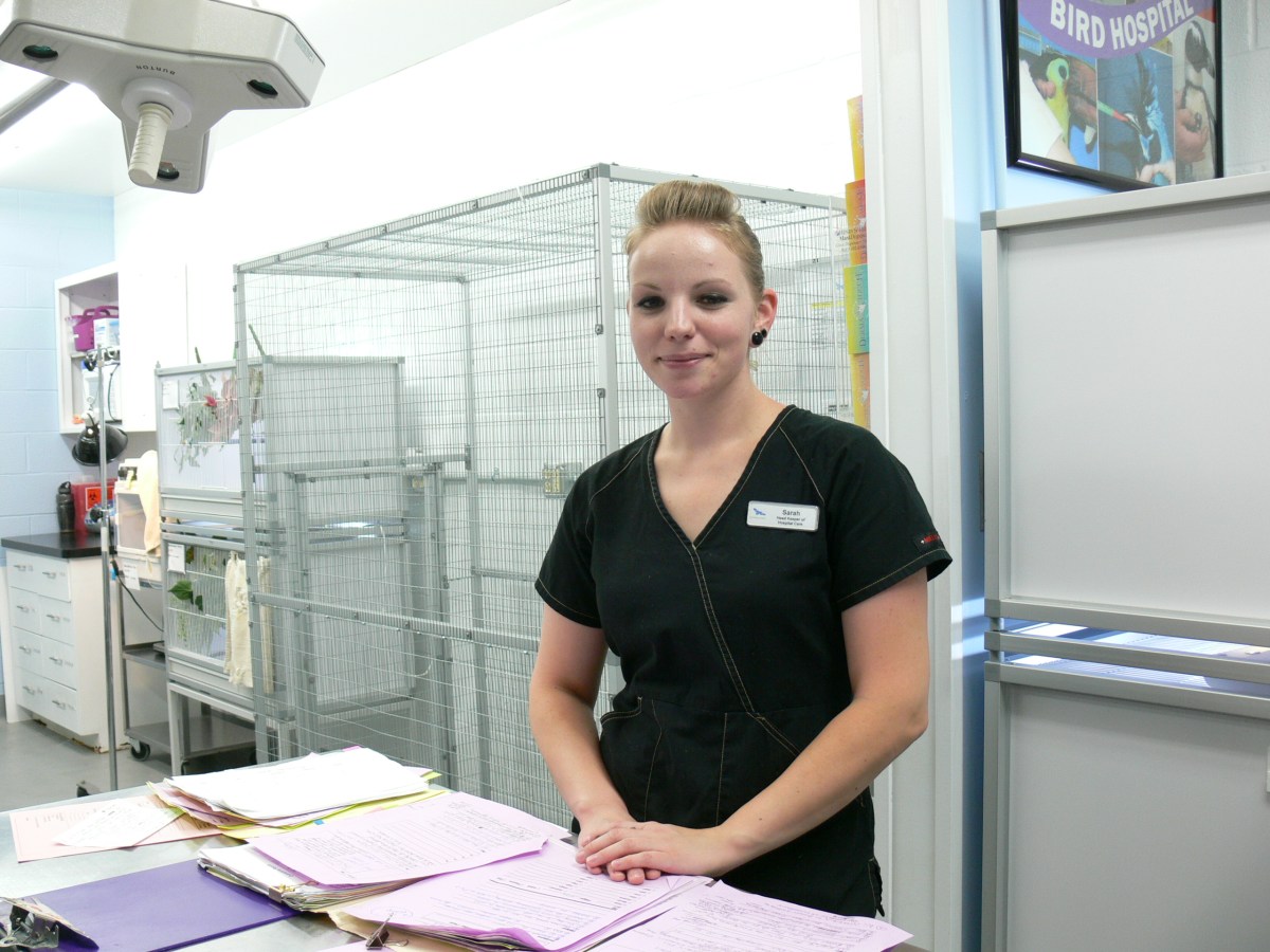 National Aviary Hospital - Sarah the "Bird Nurse"
