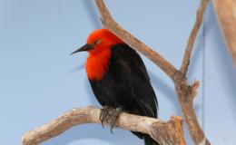 Lee’s Four Word Thursday –&nbsp;7/20/17