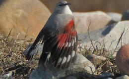 Sometimes We Have A Blank&nbsp;Mind