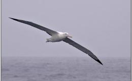 Lee’s Three Word Wednesday –&nbsp;4/5/17