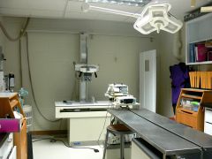 National Aviary Hospital X-ray and Surgery