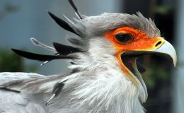 Lee’s Five Word Friday –&nbsp;3/4/16