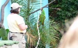 Lee’s One Word Monday –&nbsp;8/7/17