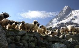 Matthew Chapter A Day –&nbsp;25