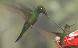 Lee’s Four Word Thursday –&nbsp;5/4/17