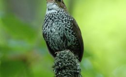 Lee’s Five Word Friday –&nbsp;2/26/16