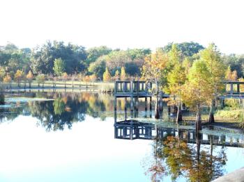 Reflective View at South Lake Howard Nature Park