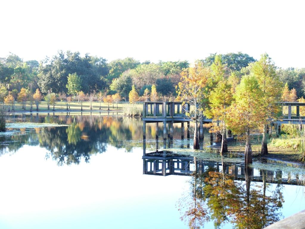 Reflective View at South Lake Howard Nature Park