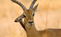 Lee’s One Word Monday –&nbsp;3/21/16