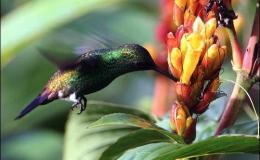 Lee’s Seven Word Sunday –&nbsp;5/15/16