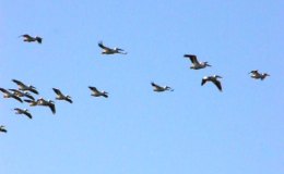 Lee’s Two-Word Tuesday –&nbsp;1/26/16