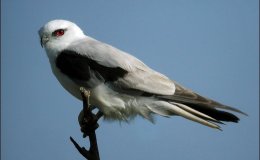 Lee’s Three Word Wednesday –&nbsp;12/28/16