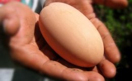 Lee’s Seven Word Sunday –&nbsp;1/8/17