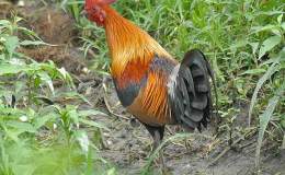 Lee’s Four Word Thursday –&nbsp;2/11/16