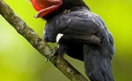 Lee’s Four Word Thursday –&nbsp;11/17/16