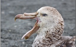 Lee’s One Word Monday –&nbsp;4/24/17