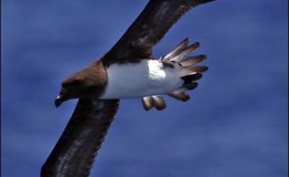 Lee’s One Word Monday –&nbsp;5/8/17