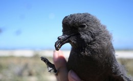 Lee’s Two Word Tuesday –&nbsp;4/4/17