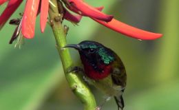 Lee’s Seven Word Sunday –&nbsp;12/18/16