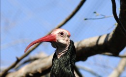 Lee’s One Word Monday –&nbsp;6/12/17