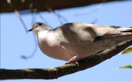 Lee’s Seven Word Sunday –&nbsp;2/27/16