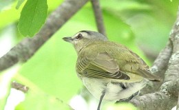 Time For Another Update From The&nbsp;I.O.C.