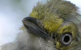 Lee’s Seven Word Sunday –&nbsp;3/6/16