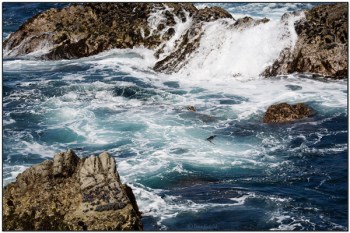 Waves on Rocks - Point Lobos State Reserve by Daves BP