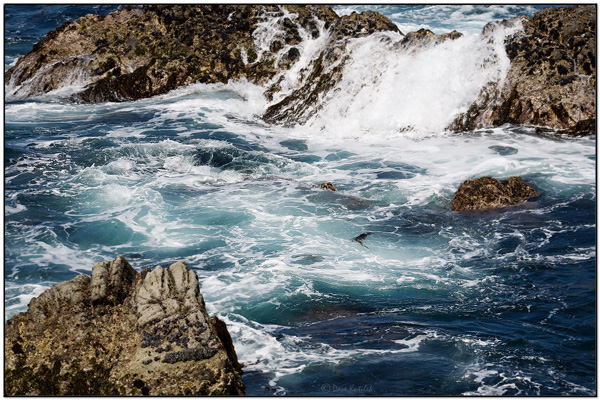 Waves on Rocks - Point Lobos State Reserve by Daves BP