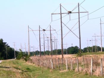 Osprey Road by Dan - (Old Bartow Road)
