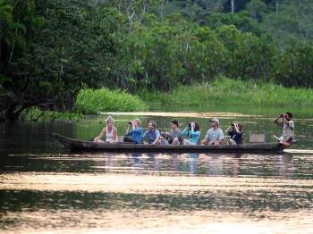 Crimson-crested Woodpecker (Campephilus melanoleucos) by Ian Sani Canoe