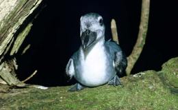 Lee’s Two Word Tuesday –&nbsp;4/25/17