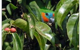 Lee’s Two Word Tuesday –&nbsp;3/22/16