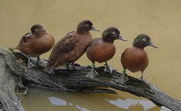 Lee’s Seven Word Sunday –&nbsp;8/7/16