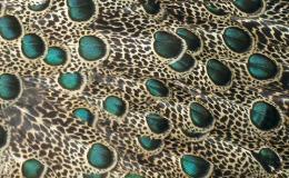 Lee’s One Word Monday –&nbsp;3/20/17