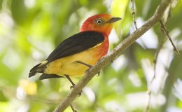 Lee’s Three Word Wednesday –&nbsp;3/29/17