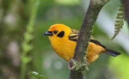 Lee’s Three Word Wednesday –&nbsp;12/21/16