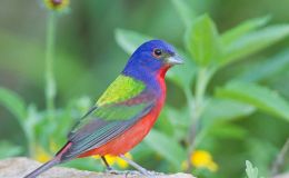 Lee’s Five Word Friday –&nbsp;7/15/16