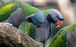 Lee’s Five Word Friday –&nbsp;12/23/16